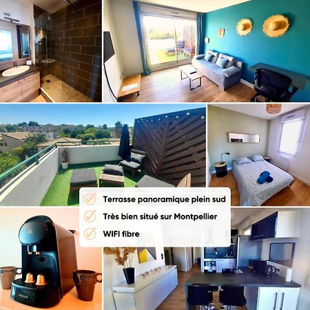 Apartamento Terrasse De La Pompignane - T2 Lumineux Plein Sud Montpellier Exterior foto